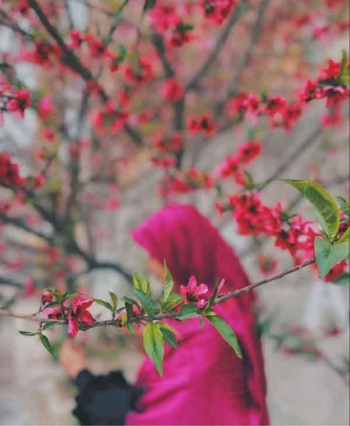  عـکس دختر واقعی برای پـروفایل با حجاب