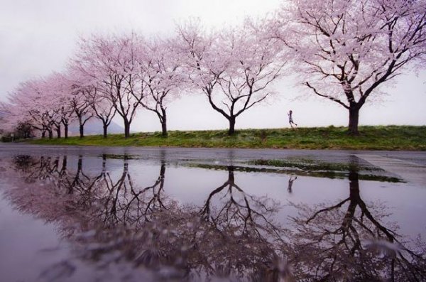 عکس های زیبا از طبیعت