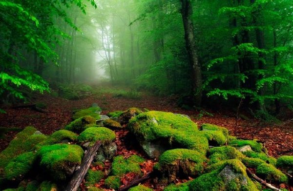  عکس های زیبا از طبیعت