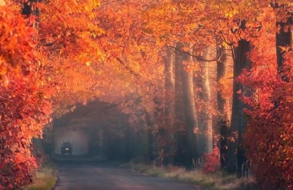  عکس های زیبا از طبیعت