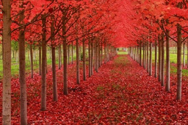  عکس های زیبا از طبیعت