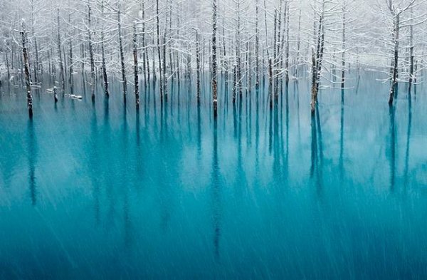  عکس های زیبا از طبیعت