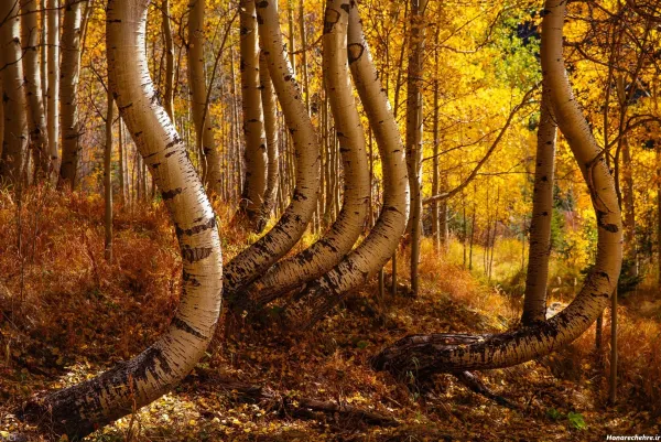  عکسهای آرامش بخش