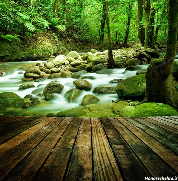  عکسهای آرامش بخش