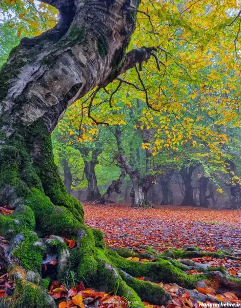  عکسهای آرامش بخش