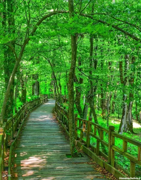  عکسهای آرامش بخش