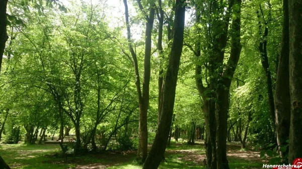  عکسهای آرامش بخش