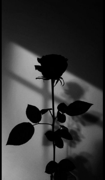  پروفایل غمگین و سیاه با متن