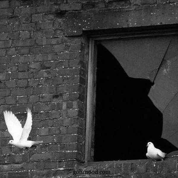  پروفایل غمگین دخترانه