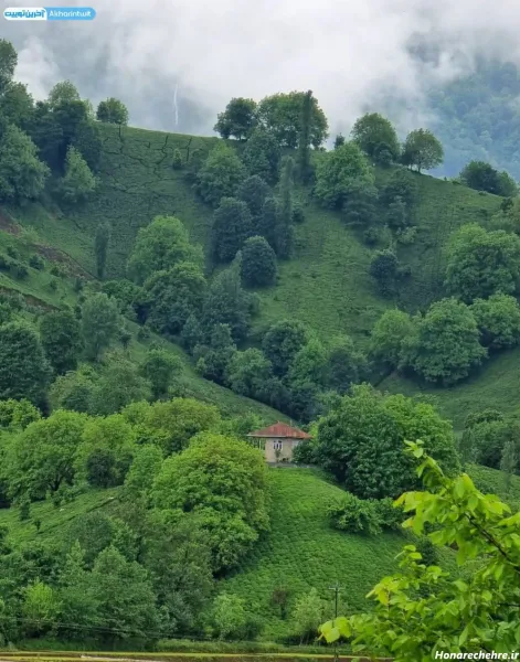 عکس زیبا و آرامش دهنده