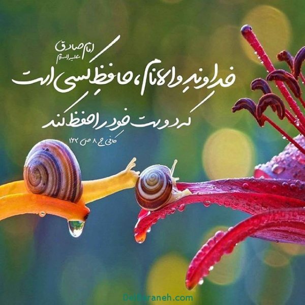  عکس آرامش بخش پروفایل