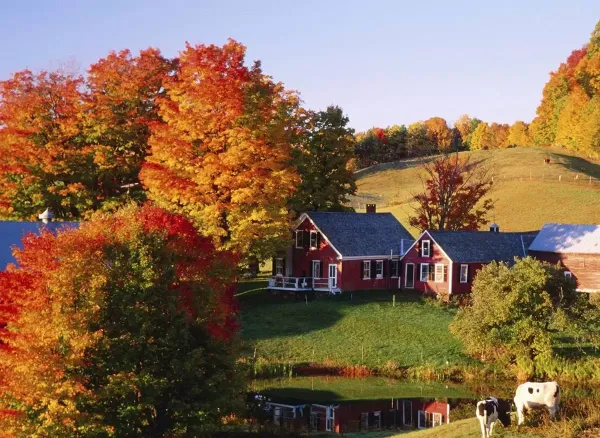  عکس آرامش انسان