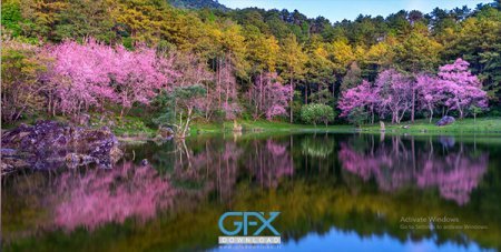  عکس آرامش بخش برای والپیپر