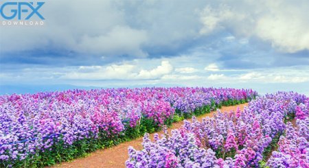  عکس آرامش بخش برای والپیپر