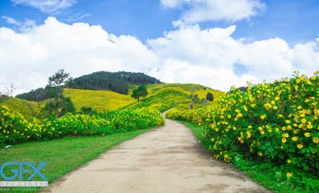  عکس آرامش بخش برای والپیپر