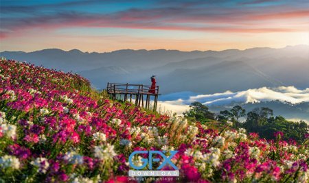  عکس آرامش بخش برای والپیپر