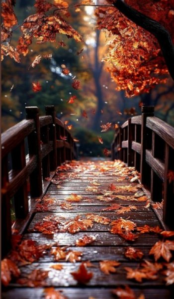  عکس طبیعت زیبا و واقعی