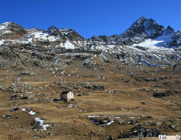  عکس جنگل آرامش بخش