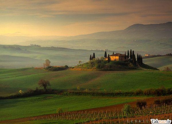  عکس جنگل آرامش بخش