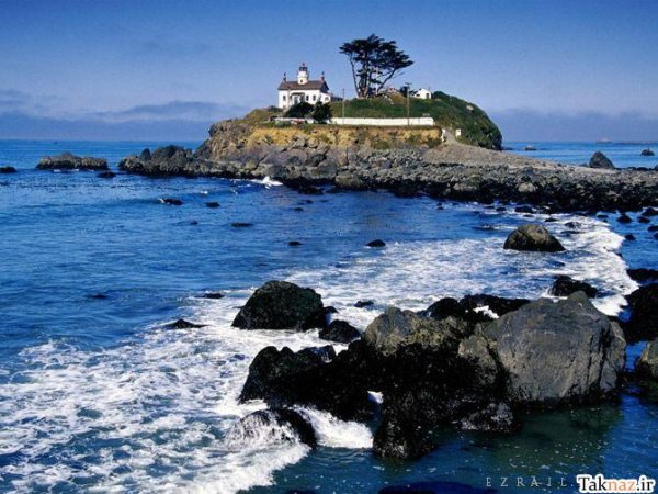  عکس جنگل آرامش بخش