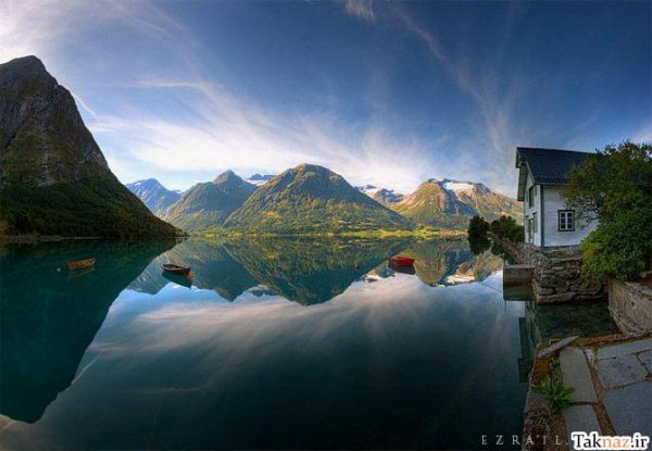  عکس جنگل آرامش بخش