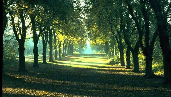  عکس زیبا و آرامش بخش