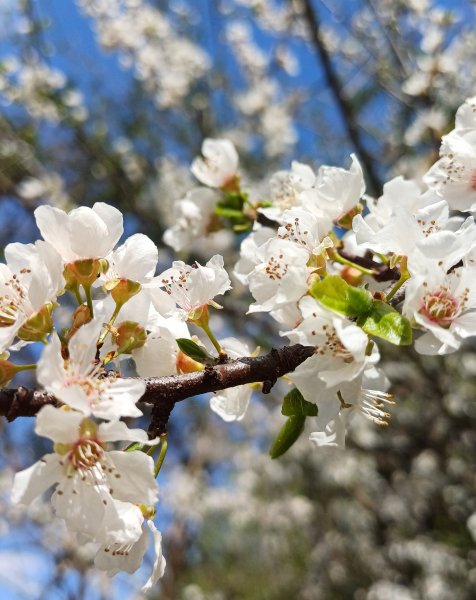  عکس زیبا و آرامش بخش