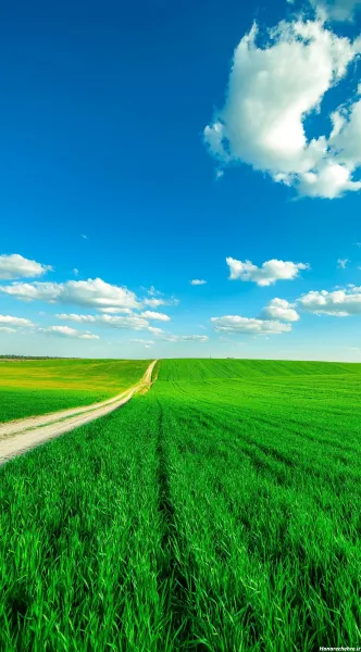  عکس پس زمینه ی آرامش بخش