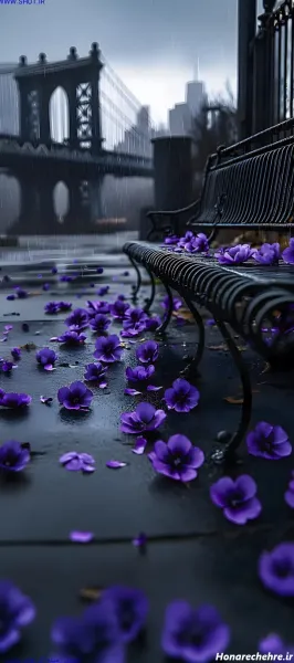  عکس پس زمینه ی آرامش بخش