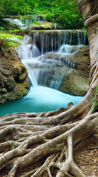 عکس آرامش بخش طبیعت