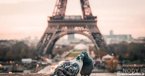  عکس برج ایفل عاشقانه
