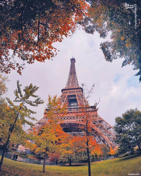 عکس برج ایفل در پاییز