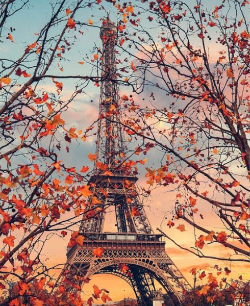  عکس برج ایفل در شب برای تصویر زمینه