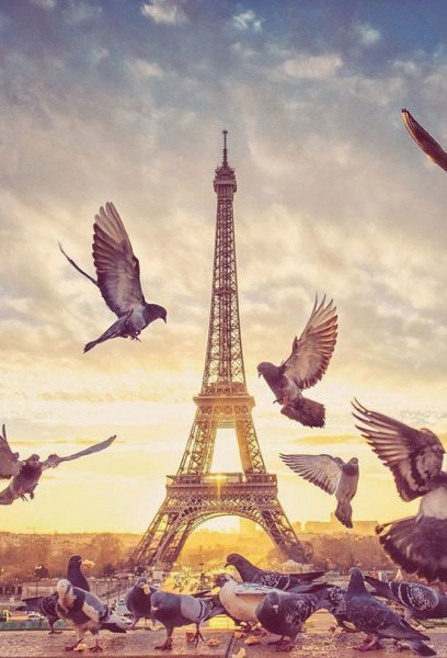 عکس برج ایفل در بهار