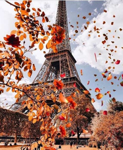  عکس برج ایفل پروفایل