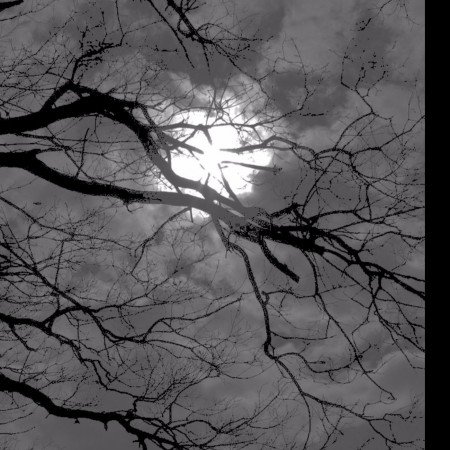 پروفایل کلاسیک دخترانه