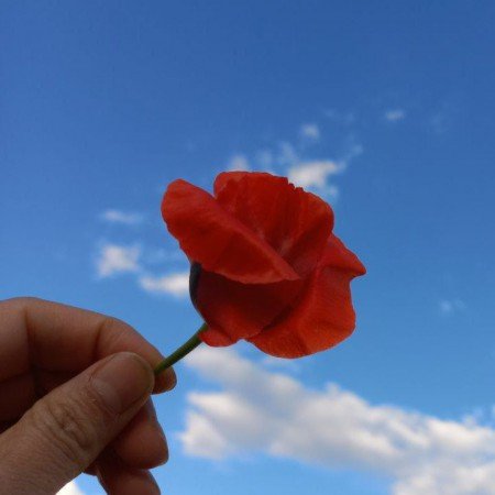  پروفایل کلاسیک دخترانه