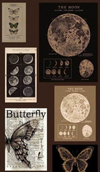 والپیپر قهوه ای پینترستی