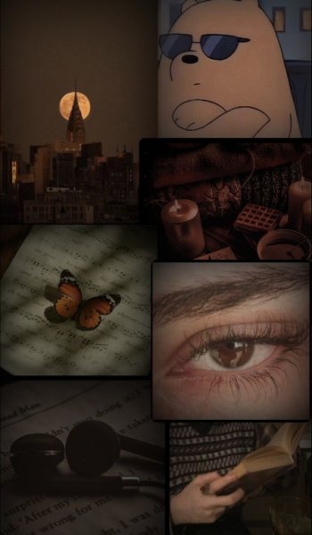  والپیپر عکس قهوه ای کیوت