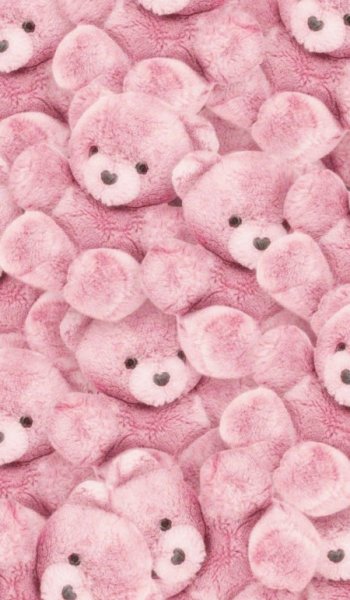  عکس خرس کیوت برای پروفایل