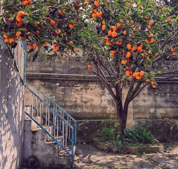  عکس نوستالژی خانه های قدیمی