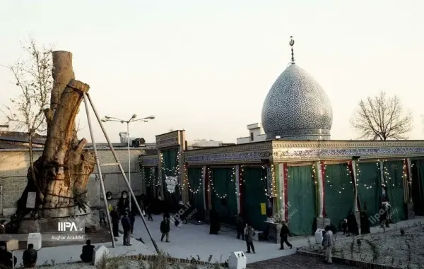  عکس های قدیمی تجریش