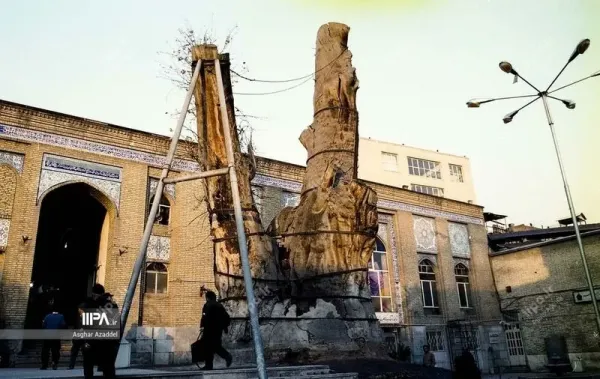  عکس های قدیمی تجریش