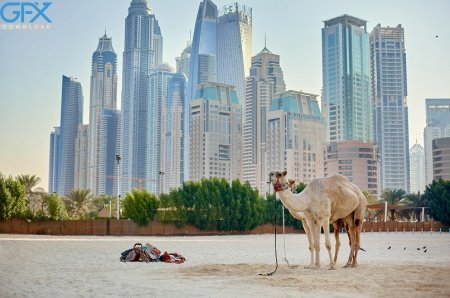 عکس دبی برای پروفایل