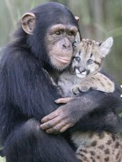  عکس‌های احساسی حیوانات