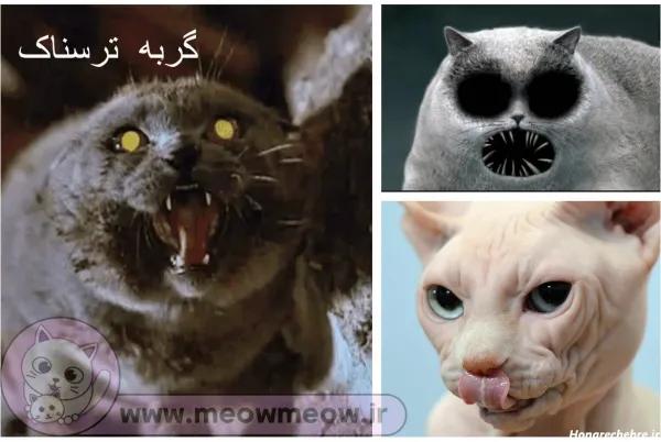  عکس موش ترسناک