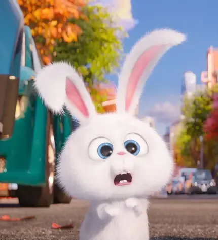  عکس خرگوش عروسکی