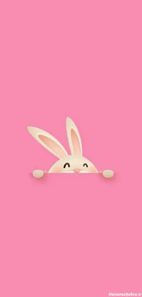  عکس خرگوش کارتونی