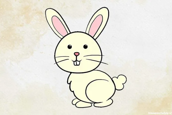  عکس خرگوش کارتونی