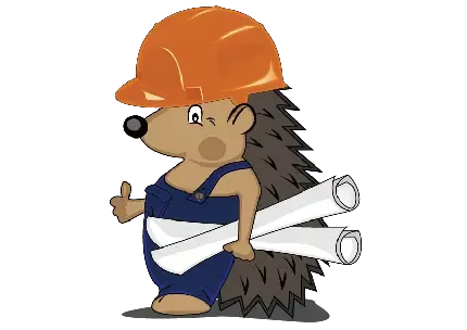  عکس جوجه تیغی واقعی